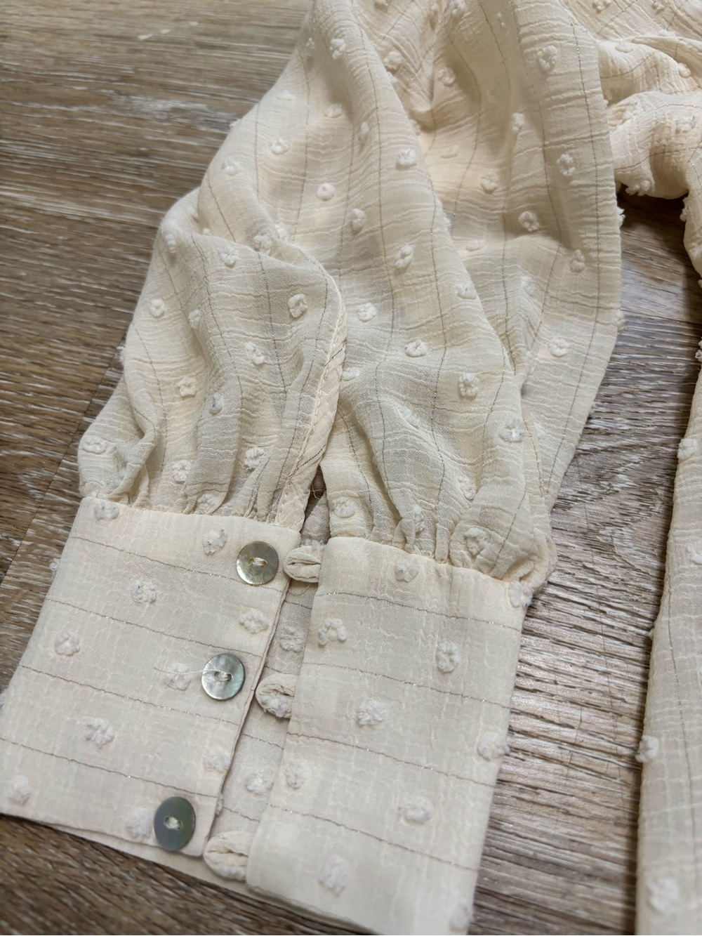 Zara Sheer Polka Dot Beige Blouse - Picture 4 of 4